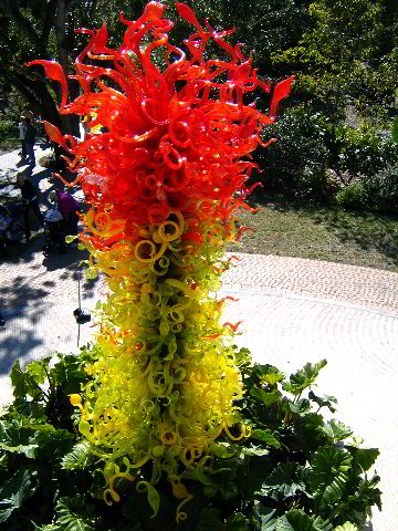 Fairchild-Chihuly-Blown-Glass-Art-0067