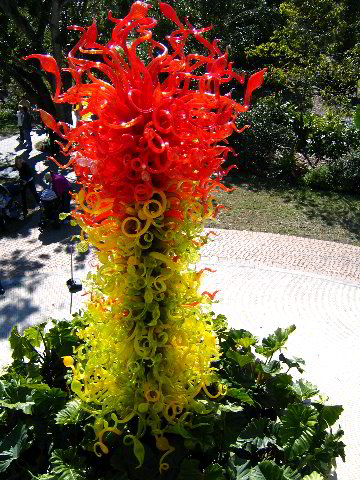 Fairchild-Chihuly-Blown-Glass-Art-0067