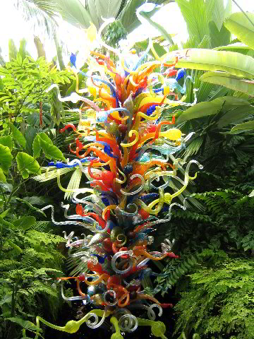 Fairchild-Chihuly-Blown-Glass-Art-0073