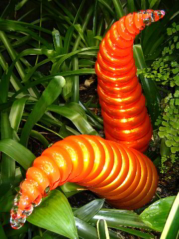 Fairchild-Chihuly-Blown-Glass-Art-0077