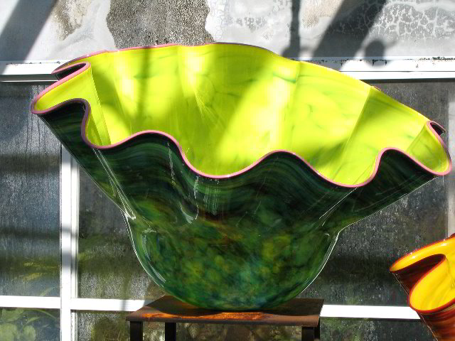 Fairchild-Chihuly-Blown-Glass-Art-0096