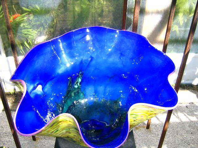 Fairchild-Chihuly-Blown-Glass-Art-0097
