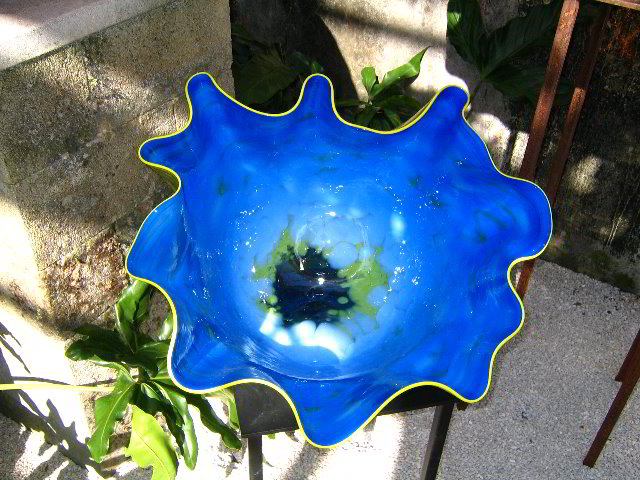 Fairchild-Chihuly-Blown-Glass-Art-0099