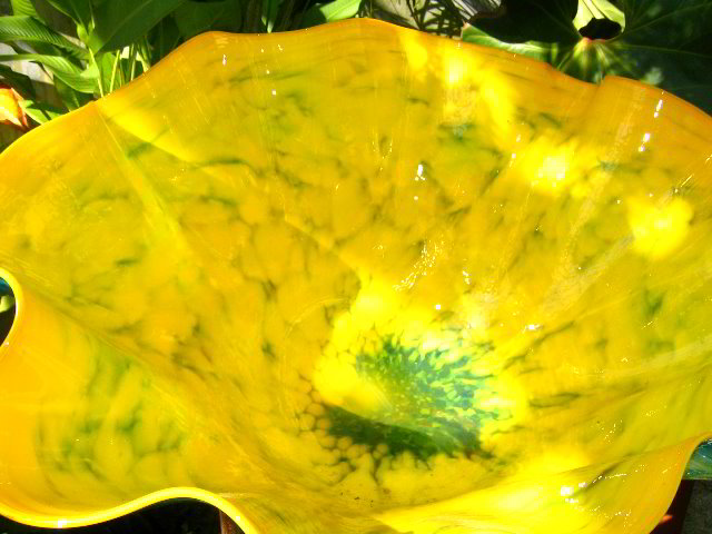 Fairchild-Chihuly-Blown-Glass-Art-0100