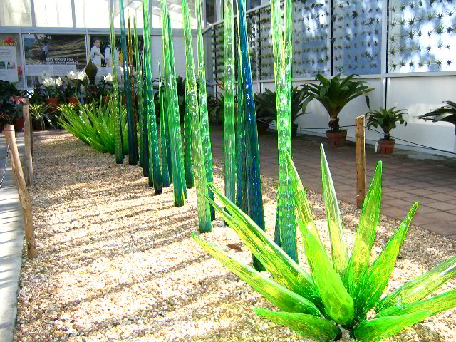 Fairchild-Chihuly-Blown-Glass-Art-0104