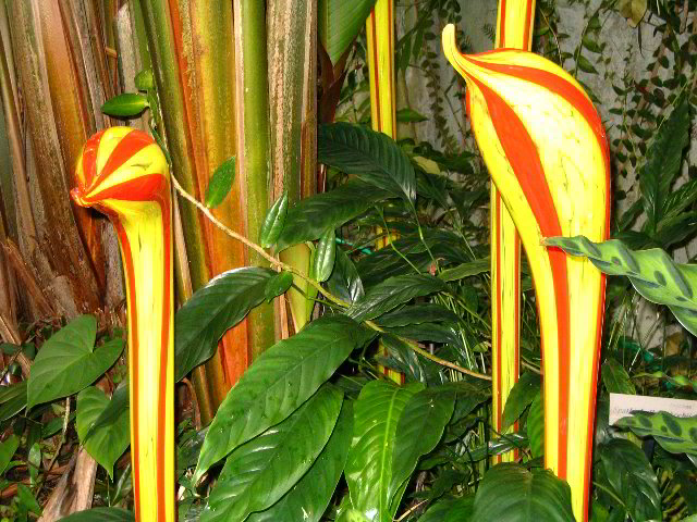 Fairchild-Chihuly-Blown-Glass-Art-0107