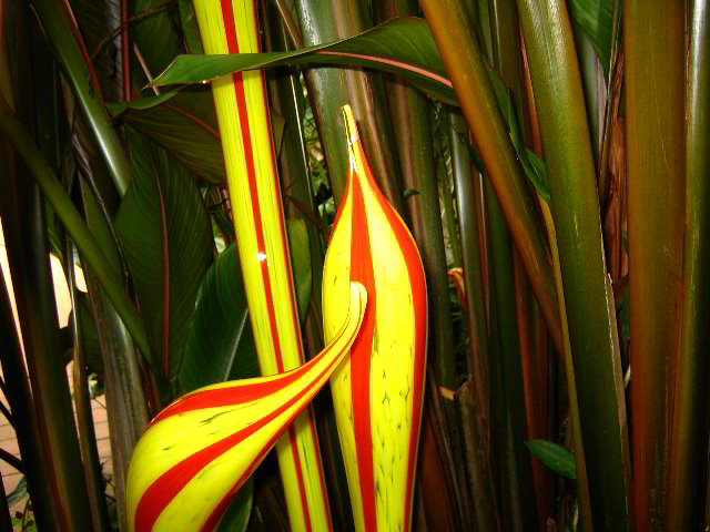 Fairchild-Chihuly-Blown-Glass-Art-0109
