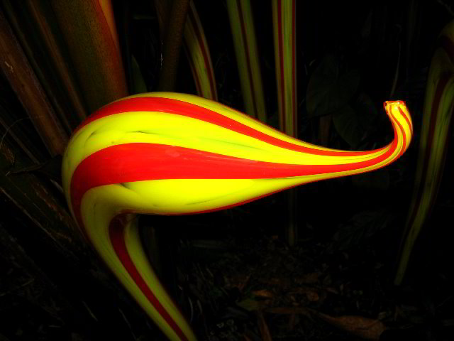 Fairchild-Chihuly-Blown-Glass-Art-0110