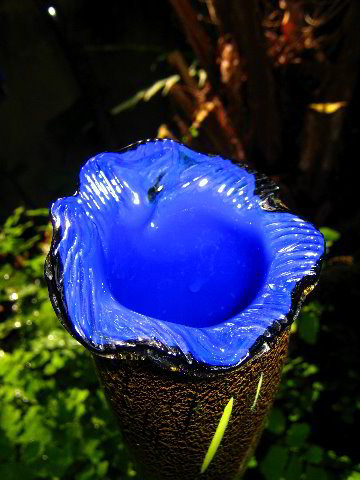 Fairchild-Chihuly-Blown-Glass-Art-0112