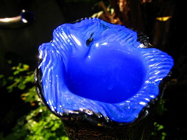 Fairchild-Chihuly-Blown-Glass-Art-0113