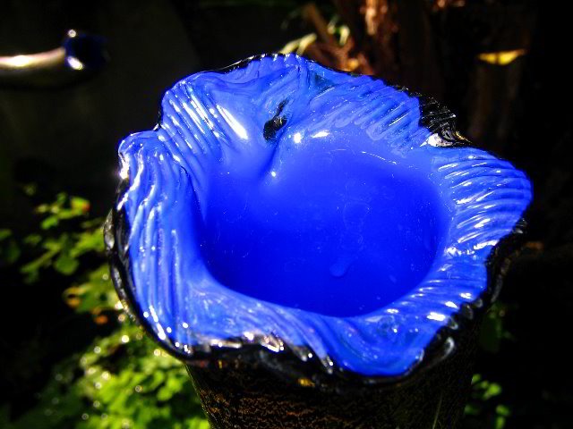 Fairchild-Chihuly-Blown-Glass-Art-0113