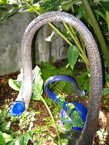 Fairchild-Chihuly-Blown-Glass-Art-0114