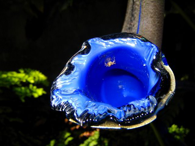 Fairchild-Chihuly-Blown-Glass-Art-0115
