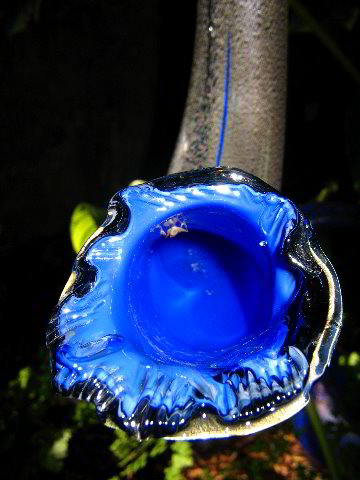 Fairchild-Chihuly-Blown-Glass-Art-0116