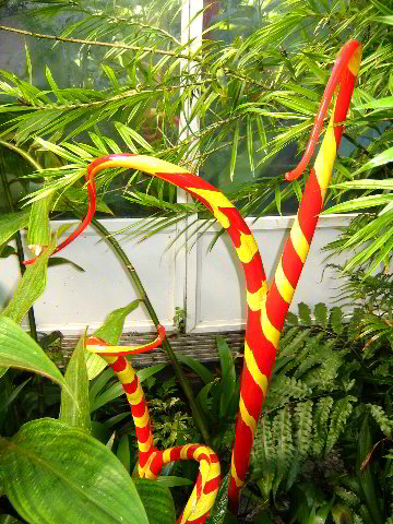 Fairchild-Chihuly-Blown-Glass-Art-0118