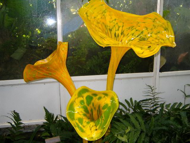 Fairchild-Chihuly-Blown-Glass-Art-0119