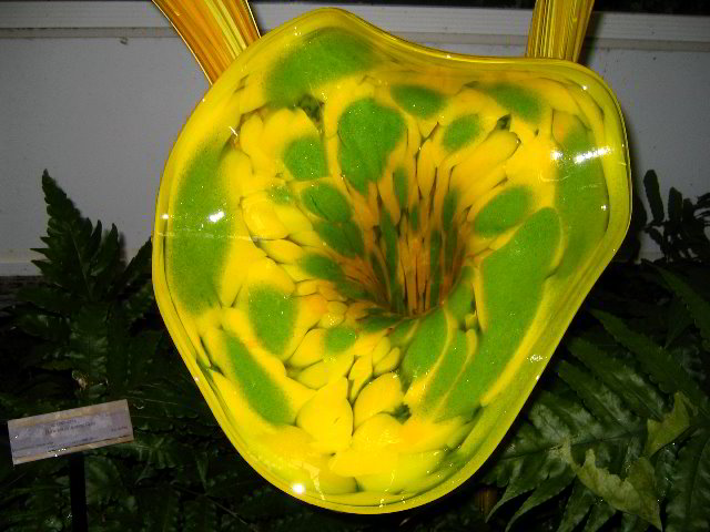 Fairchild-Chihuly-Blown-Glass-Art-0120