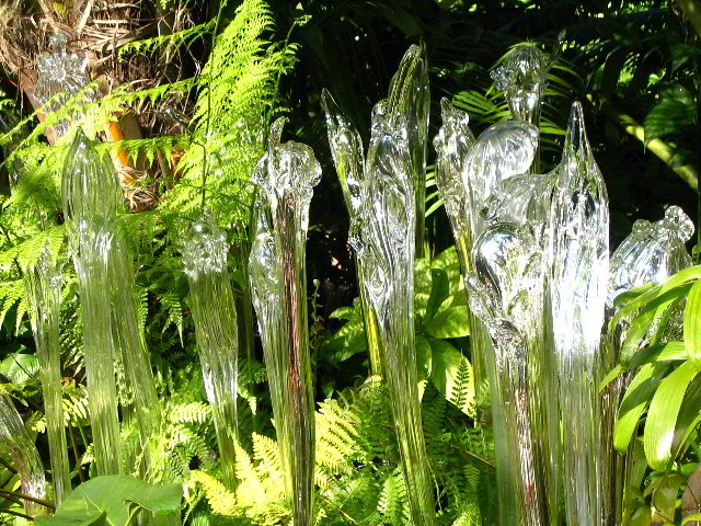 Fairchild-Chihuly-Blown-Glass-Art-0123