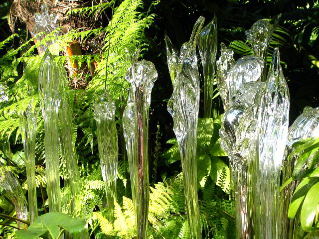 Fairchild-Chihuly-Blown-Glass-Art-0124