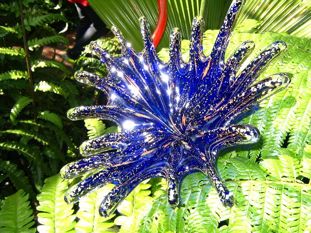 Fairchild-Chihuly-Blown-Glass-Art-0137