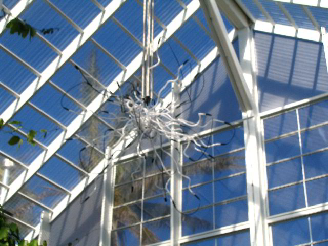 Fairchild-Chihuly-Blown-Glass-Art-0139