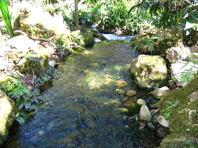 Fairchild-Chihuly-Blown-Glass-Art-0154