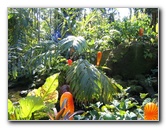 Fairchild-Chihuly-Blown-Glass-Art-0004