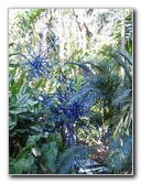 Fairchild-Chihuly-Blown-Glass-Art-0009