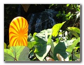 Fairchild-Chihuly-Blown-Glass-Art-0013