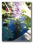 Fairchild-Chihuly-Blown-Glass-Art-0018