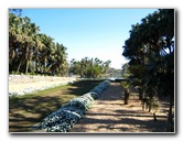 Fairchild-Chihuly-Blown-Glass-Art-0019