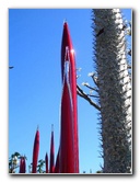 Fairchild-Chihuly-Blown-Glass-Art-0034
