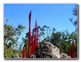 Fairchild-Chihuly-Blown-Glass-Art-0036