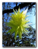 Fairchild-Chihuly-Blown-Glass-Art-0038