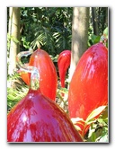 Fairchild-Chihuly-Blown-Glass-Art-0054