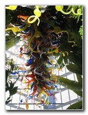 Fairchild-Chihuly-Blown-Glass-Art-0065