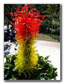 Fairchild-Chihuly-Blown-Glass-Art-0067