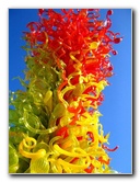 Fairchild-Chihuly-Blown-Glass-Art-0068