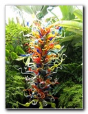 Fairchild-Chihuly-Blown-Glass-Art-0073