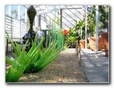 Fairchild-Chihuly-Blown-Glass-Art-0094
