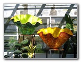 Fairchild-Chihuly-Blown-Glass-Art-0095