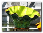 Fairchild-Chihuly-Blown-Glass-Art-0096