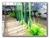 Fairchild-Chihuly-Blown-Glass-Art-0104