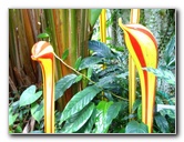 Fairchild-Chihuly-Blown-Glass-Art-0108