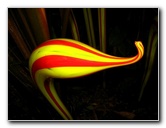 Fairchild-Chihuly-Blown-Glass-Art-0110