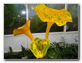 Fairchild-Chihuly-Blown-Glass-Art-0119