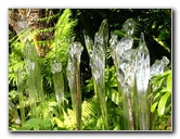 Fairchild-Chihuly-Blown-Glass-Art-0123