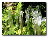 Fairchild-Chihuly-Blown-Glass-Art-0124