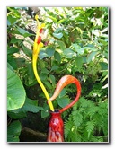 Fairchild-Chihuly-Blown-Glass-Art-0129