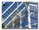 Fairchild-Chihuly-Blown-Glass-Art-0139